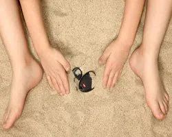 Kent Locksmith And Security Kent, WA 253-271-3307 Kent Locksmith And Security Kent, WA 253-271-3307